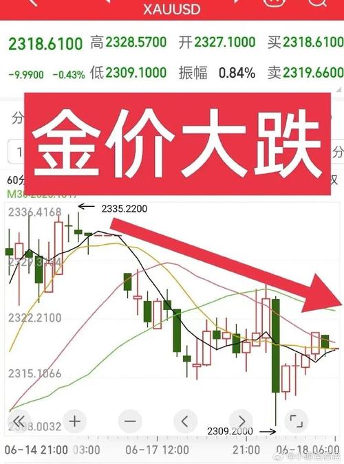 黄金汇率暴跌原因分析论文-黄金费用汇率变动-第6张图片