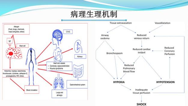 外汇汇率超过黄金输送点，汇率在黄金输出入点上下波动-第8张图片