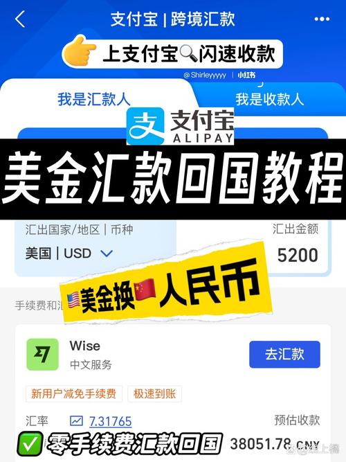 向境外汇款/在境内直接向境外汇款