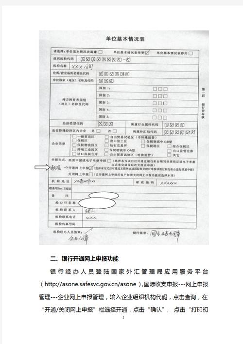 国家外汇管理局网上申报系统/国家外汇管理局门户网站网页-第6张图片